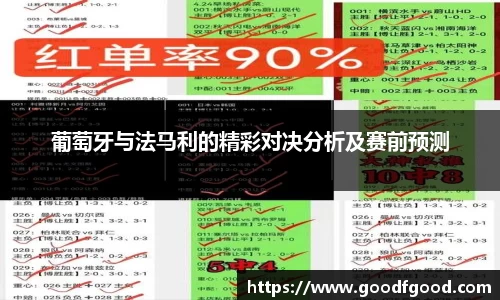 葡萄牙与法马利的精彩对决分析及赛前预测